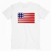 Baseball American Flag Tee Shirt