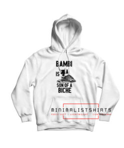 Bambi is a son of Biche Hoodie